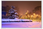 2010年的第一场雪