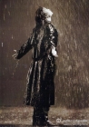 我在雨中徘徊，形单影只
