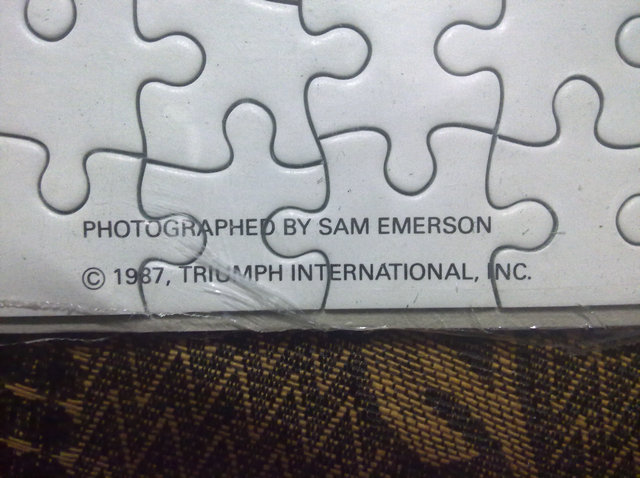 20101113626.jpg