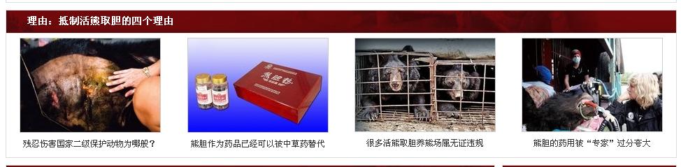 熊0.jpg