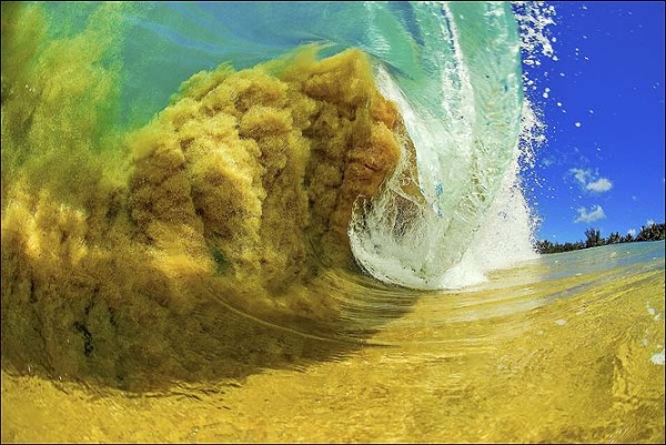 浪中沙.jpg
