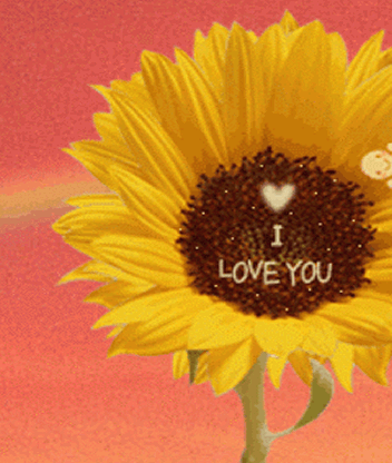 baoruan_com_151153_8_352x416_src.gif