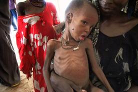 FAMINE_image_Col3wide.jpg