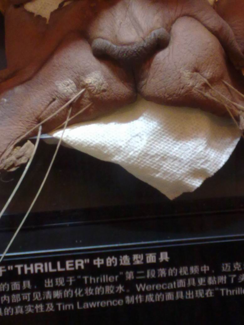 调整大小 201109082136.jpg