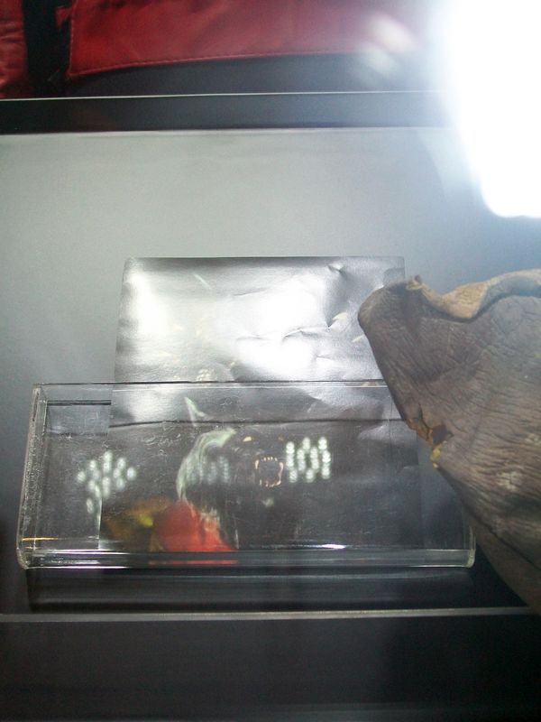 100_2395.JPG