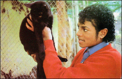MJ-michael-jackons-pets-11464311-465-300.jpg