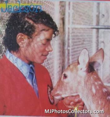 MJ-with-pets-michael-jackons-pets-12692710-354-378.jpg