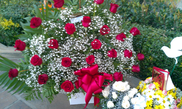 our roses.jpg