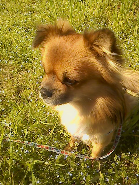 100430_081024_1.JPG
