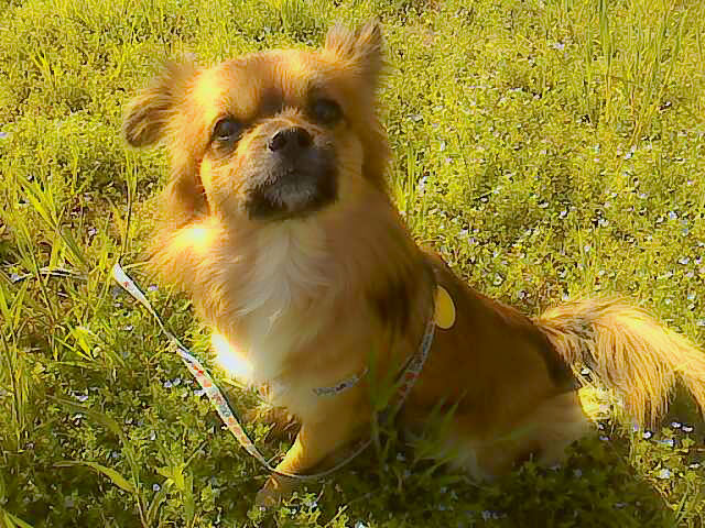 100430_081125_1.JPG