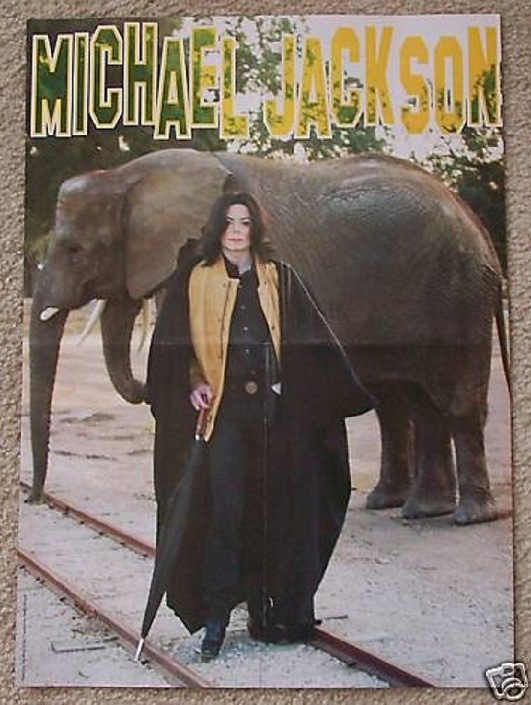 DancingWithTheElephant_mjblog.jpg
