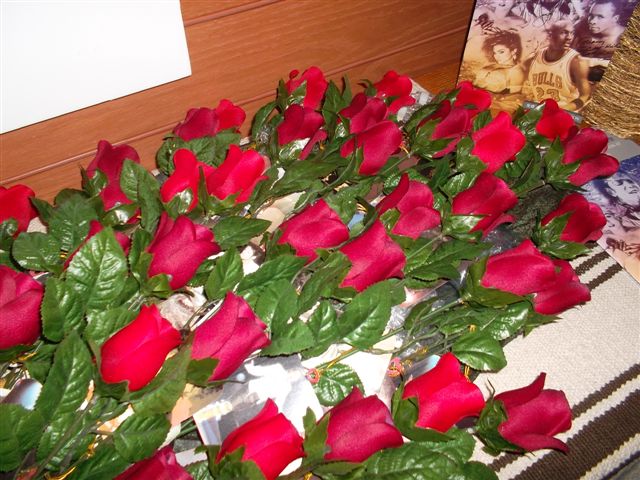 SAM_0202.JPG