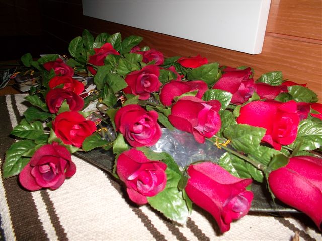 SAM_0208.JPG