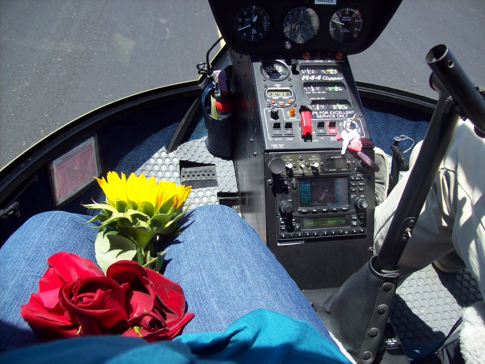flwrs cockpit.jpg