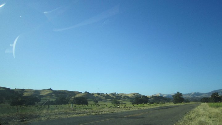 Road to Neverland.jpg