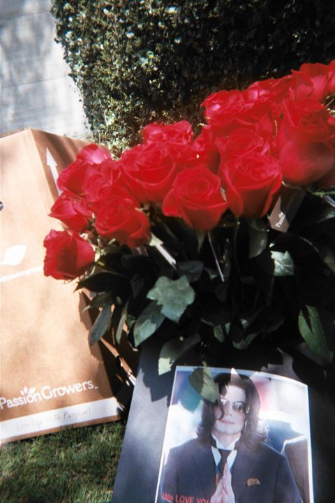 roses1.jpg