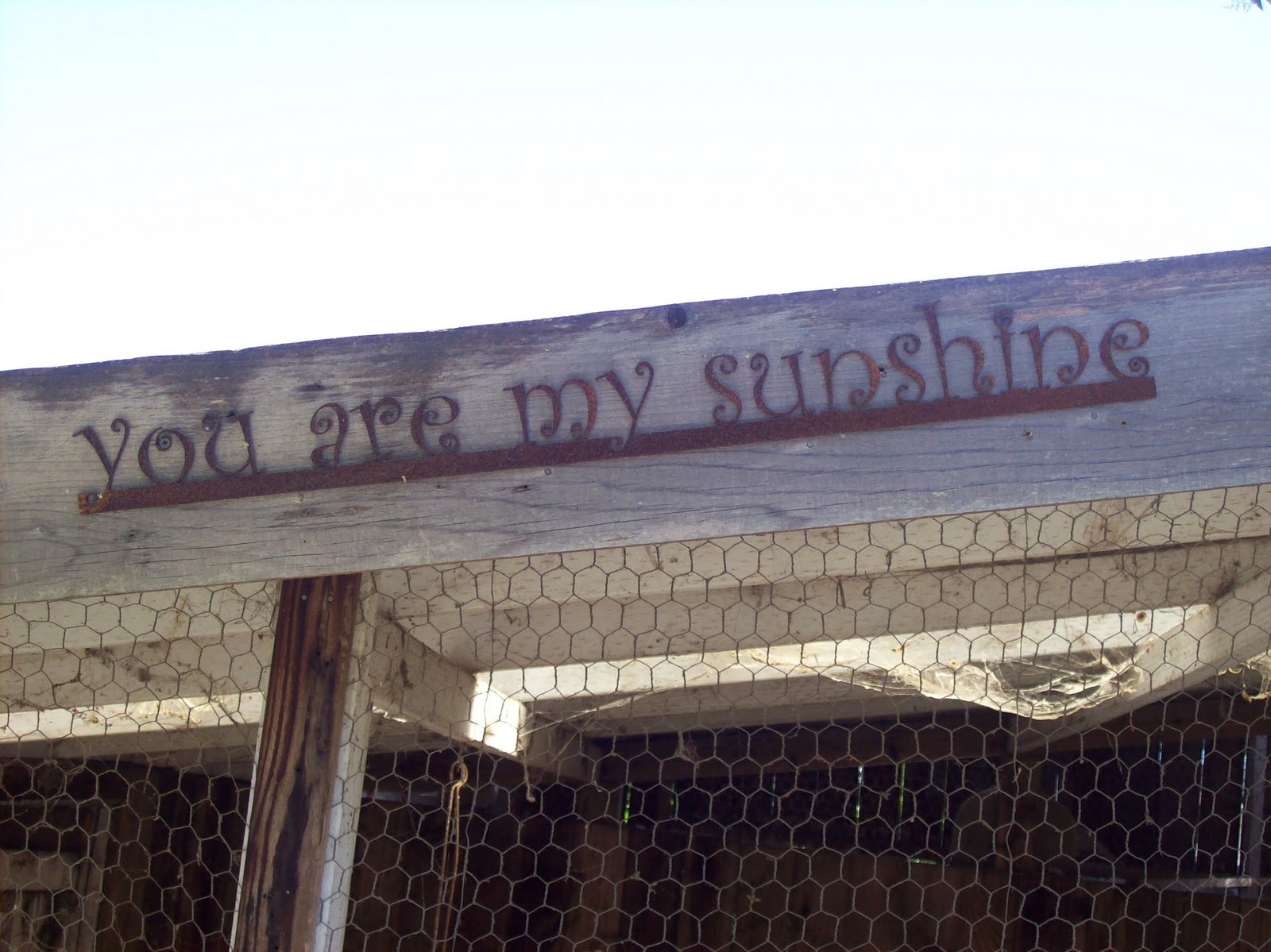 You are my sunshine.jpg