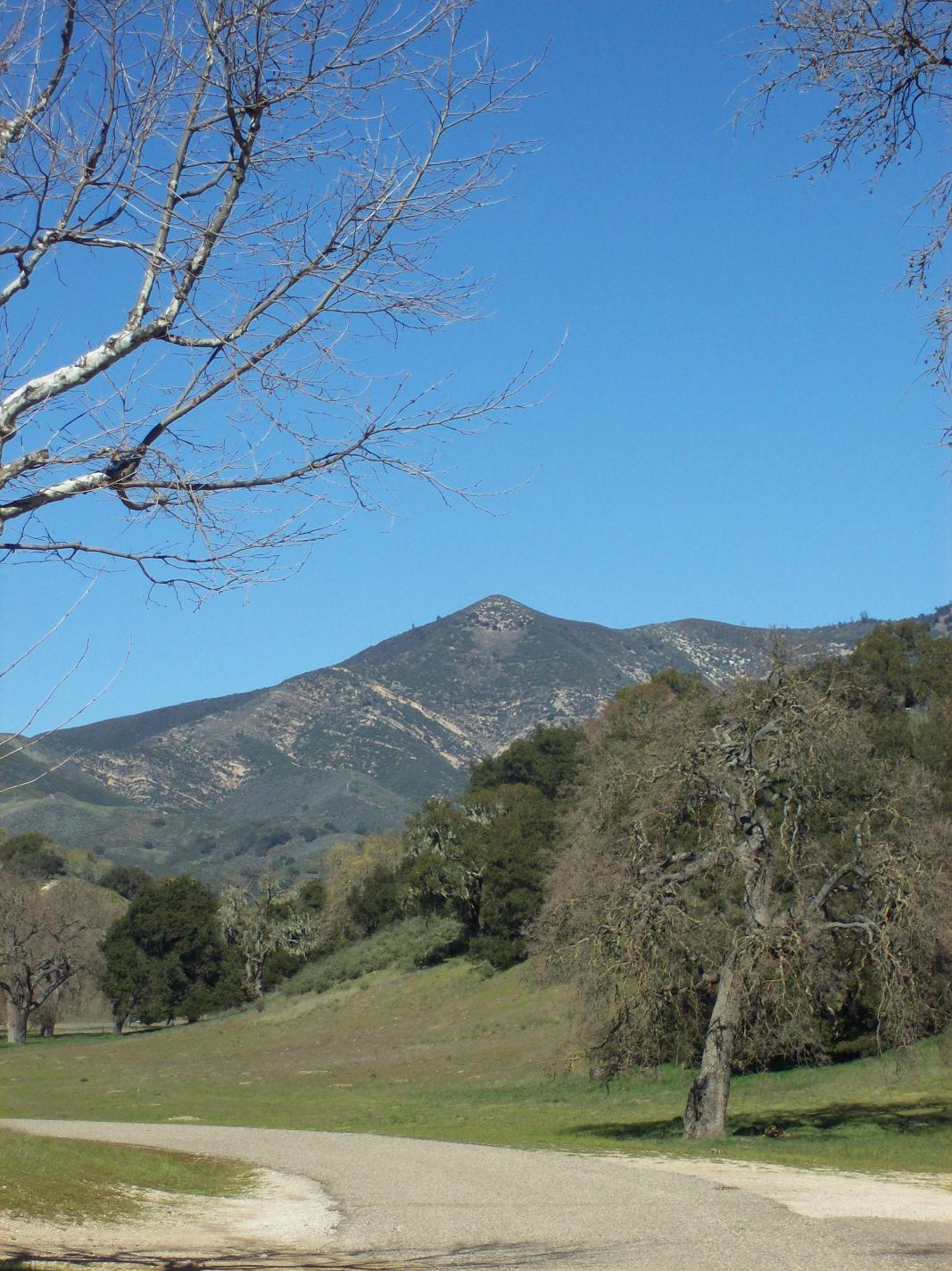 zaca.JPG