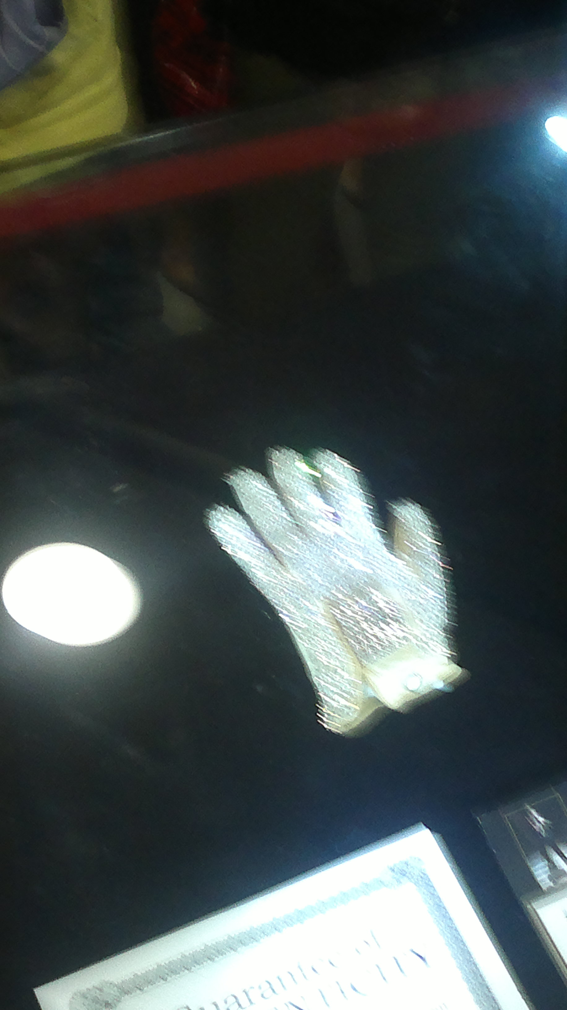 2012-10-19-1483.jpg