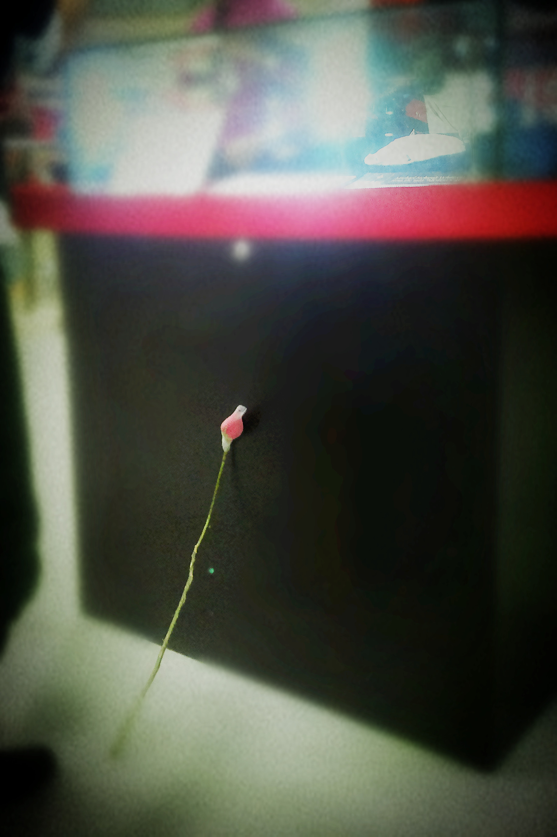 2012-10-19-1484_副本.jpg
