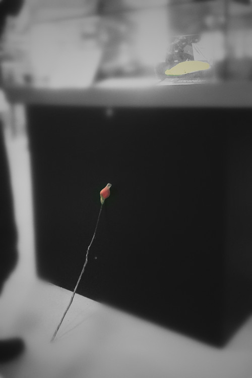 2012-10-19-1484_副本.jpg