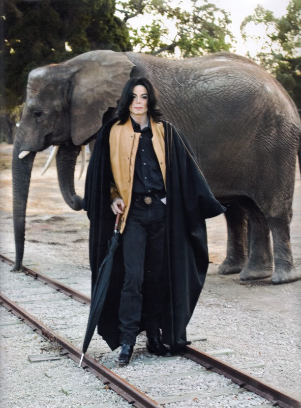 michael-jackson-india-elephant.jpg