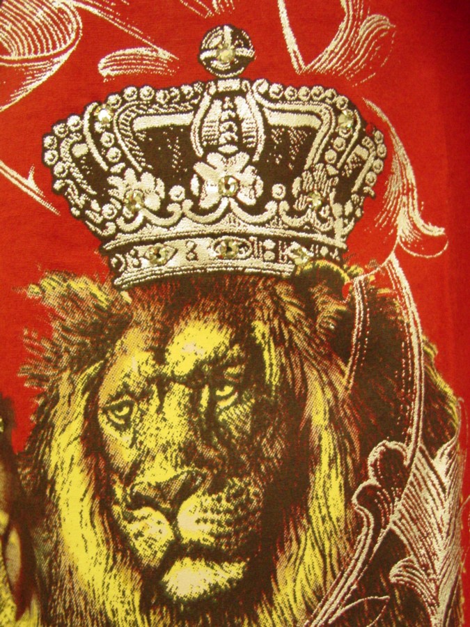 mission_lion_shots_5.jpg