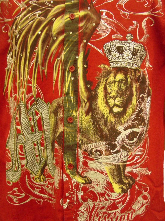 mission_lion_shots_2.jpg