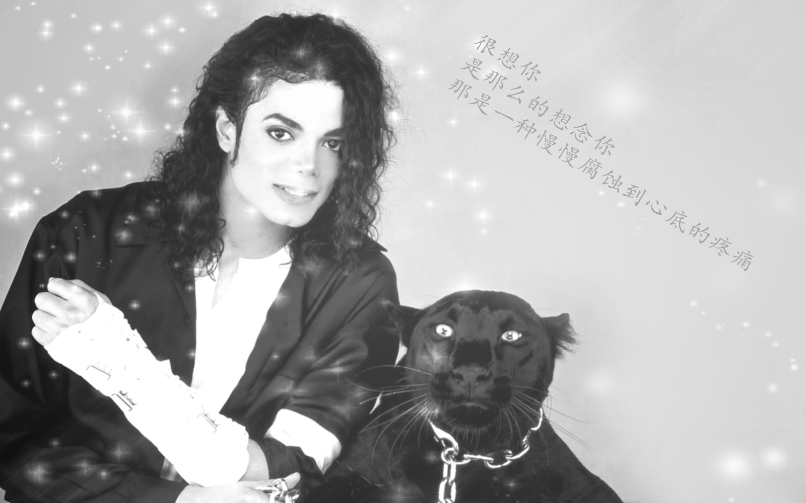 michael-jackson-black-or-white-panther-rare_conew11.jpg