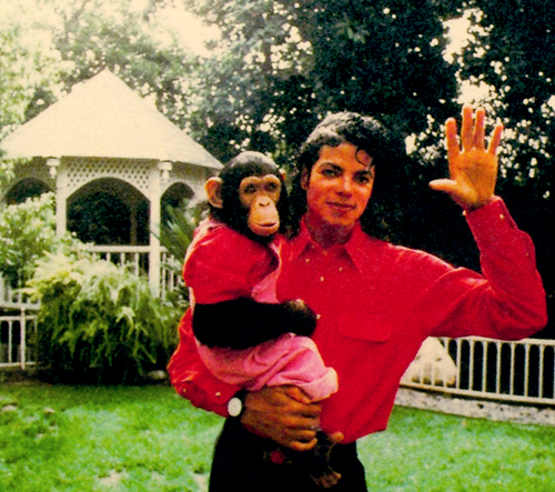 Bubbles-and-Michael-Jackson-bubbles-the-chimp-29675253-500-443.jpg