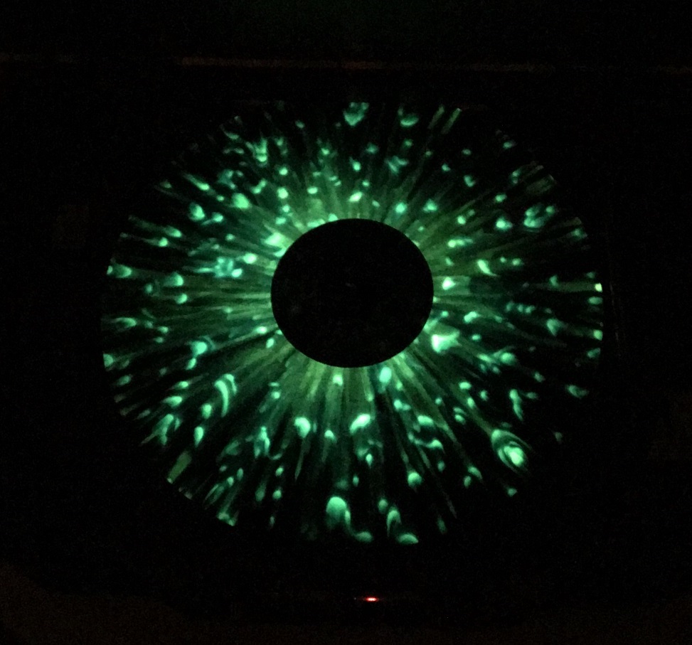 vinyl 4.jpg