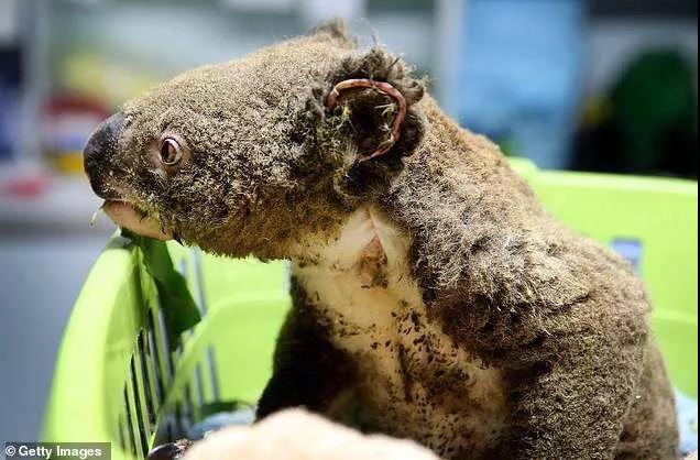 微信图片_20200114154643.jpg 微信图片_20200114154643.jpg