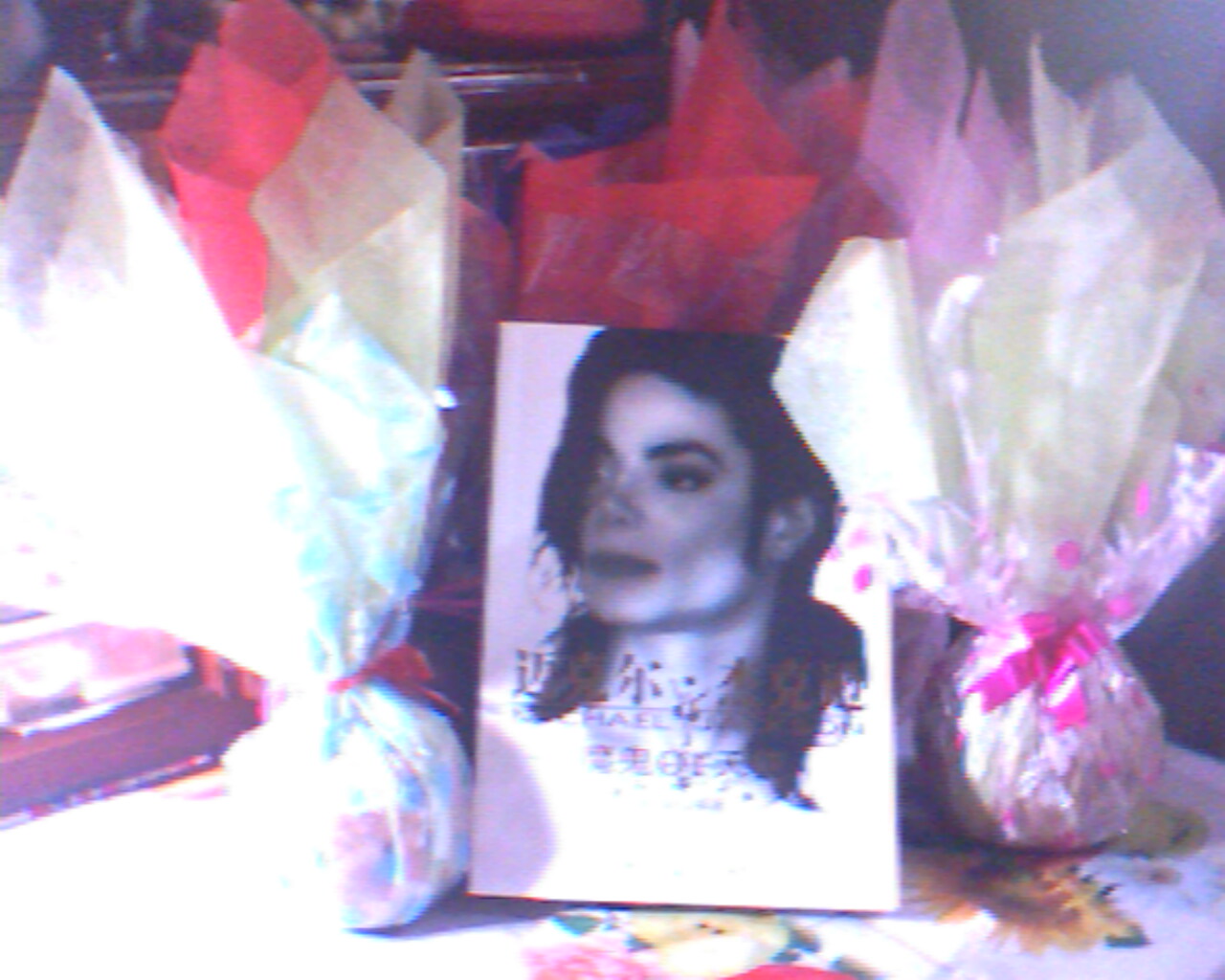IMG0588A.jpg