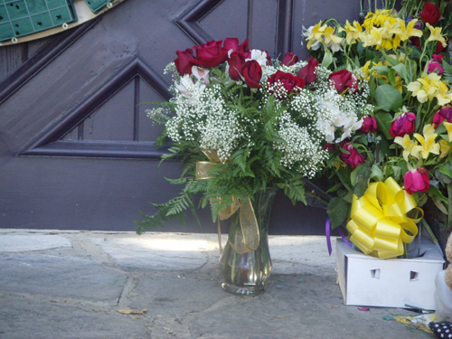 SNV34300.JPG