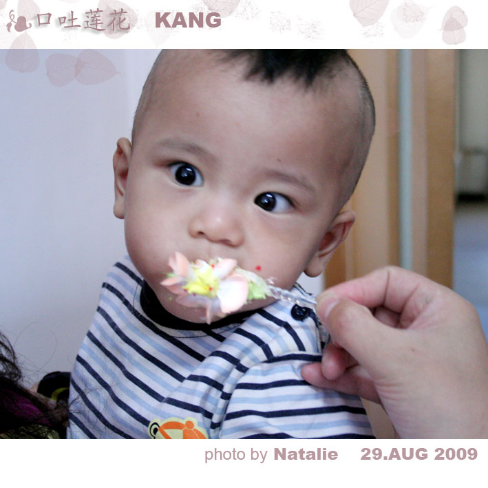 K003.jpg