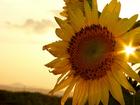 u=888793745,534204604&fm=0&gp=0.jpg