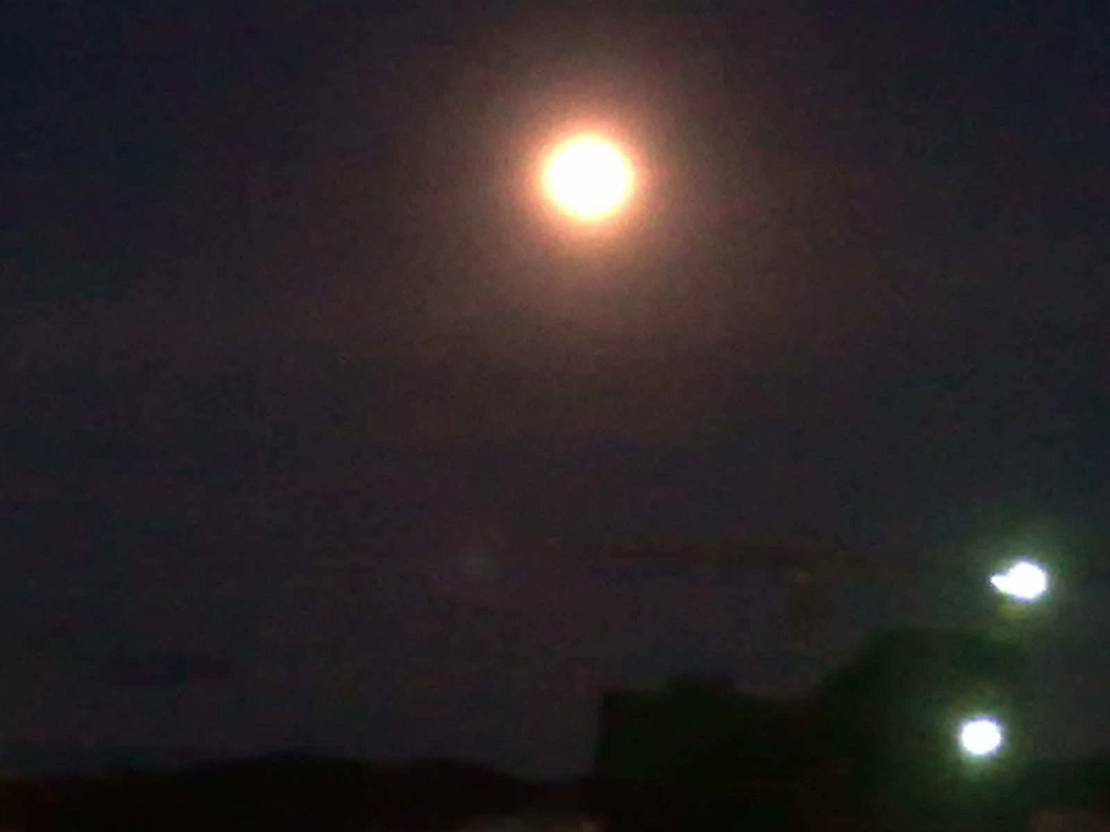 20100625027.jpg
