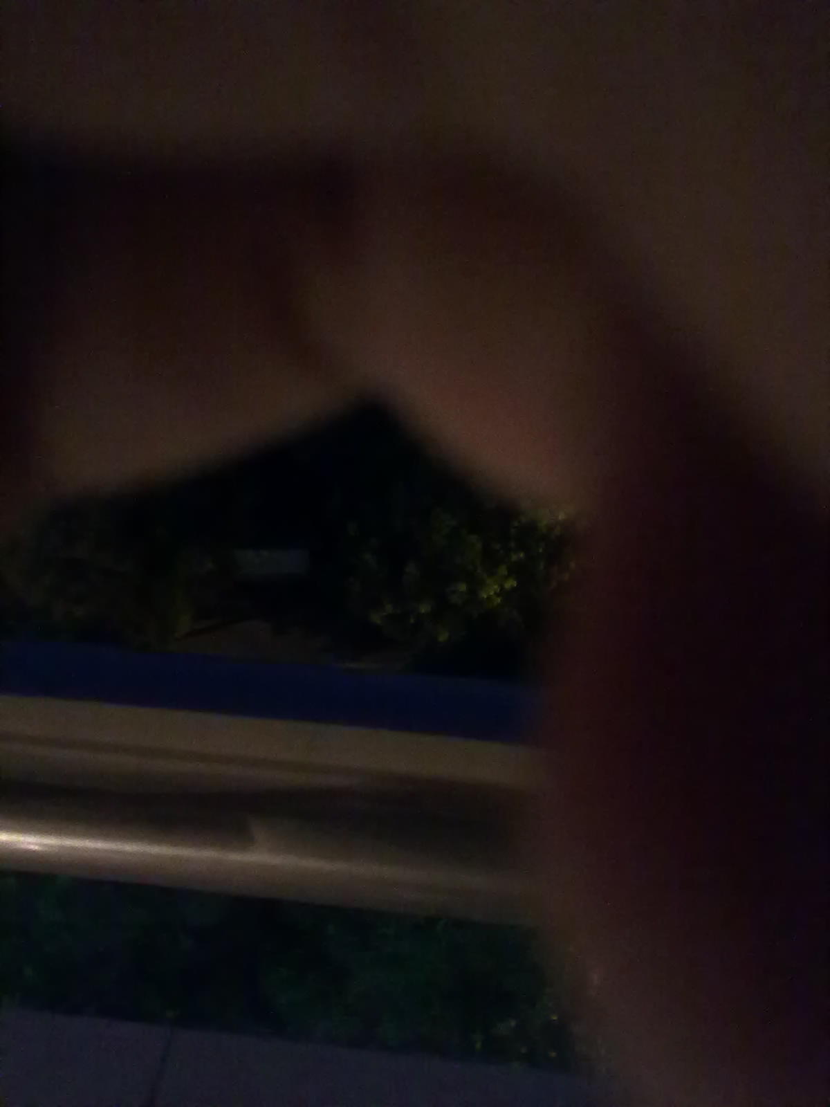 20100625025.jpg