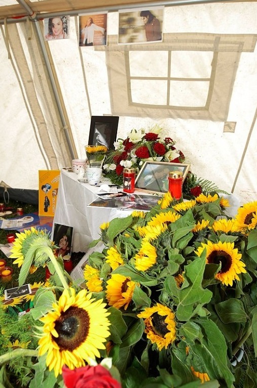 MJworldcryday008.jpg