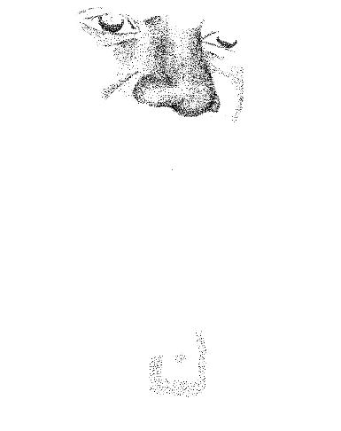 截图1254143772.jpg