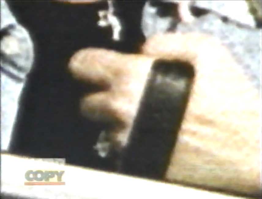 Debbie disguise_2.jpg