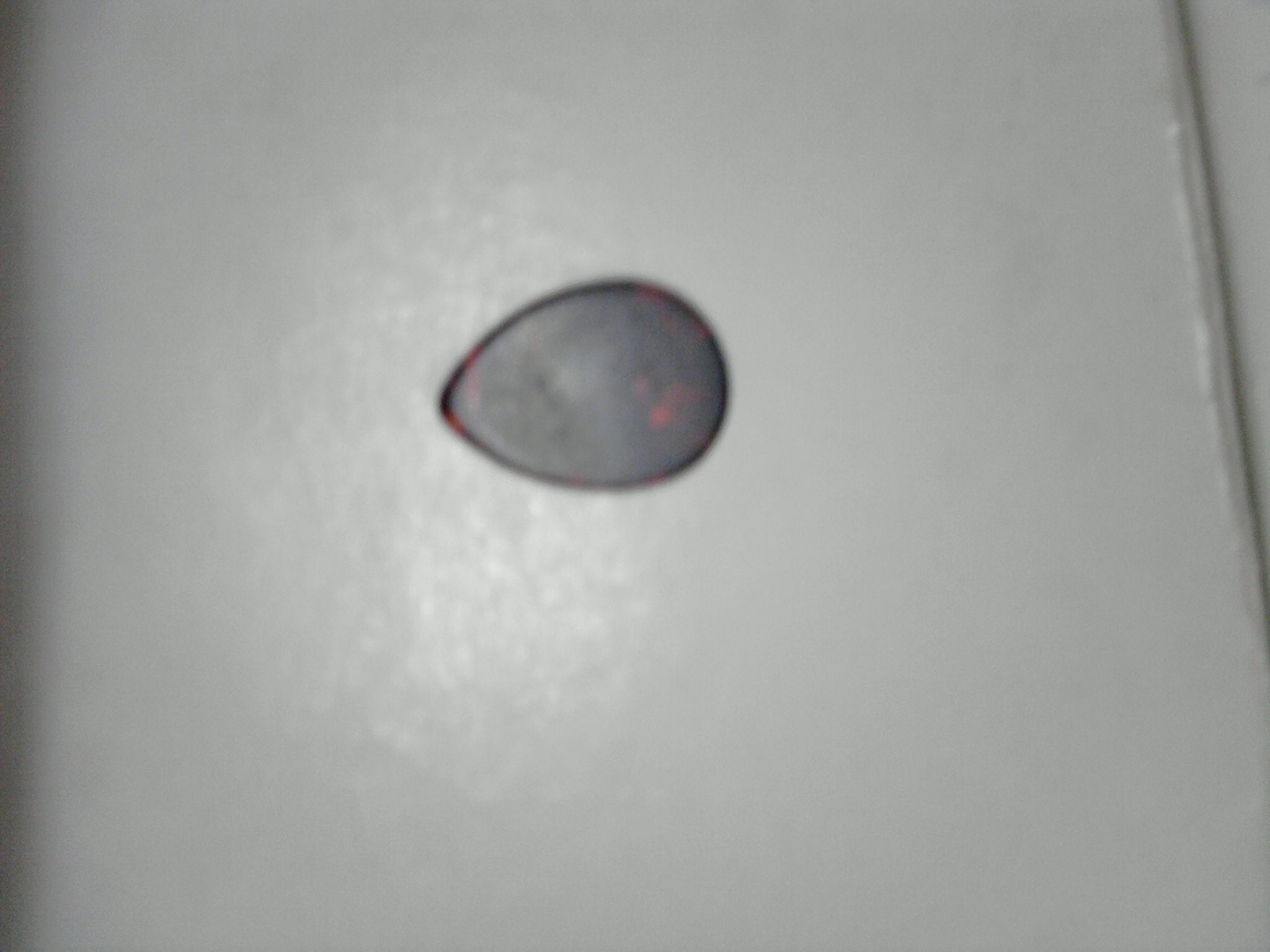 Jannifer送我的电子吉他刮片