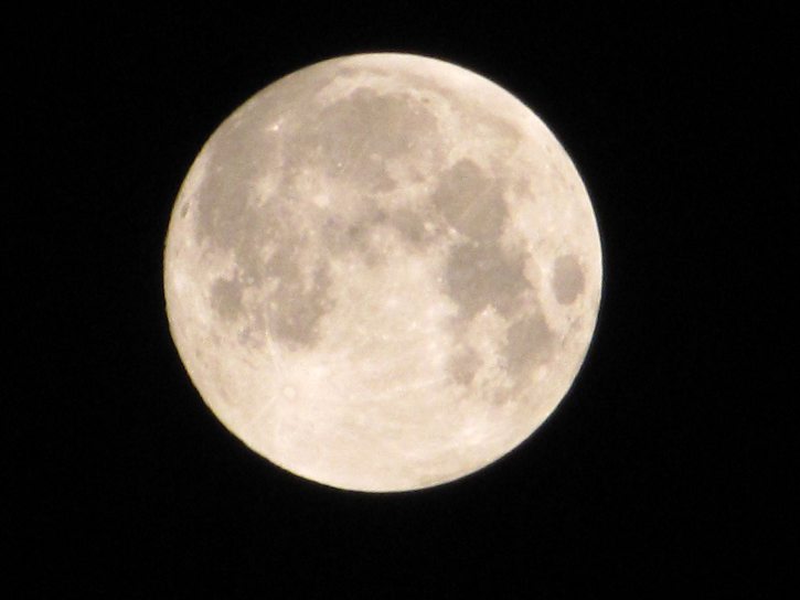 26041932_1549237.jpg