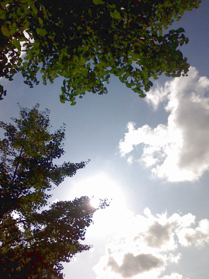 天空10.jpg