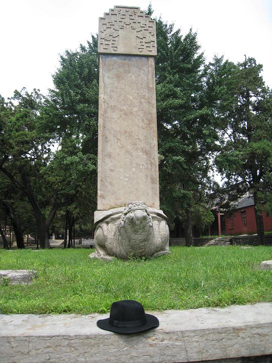 63433456_11576471_middle.jpg