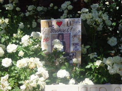 SNV34274.JPG
