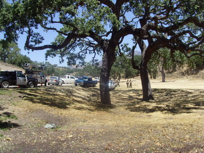 SNV34250.JPG