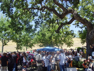 SNV34245.JPG