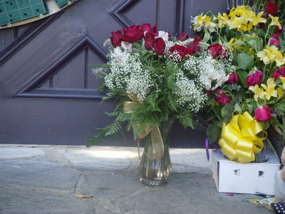 SNV34300.JPG