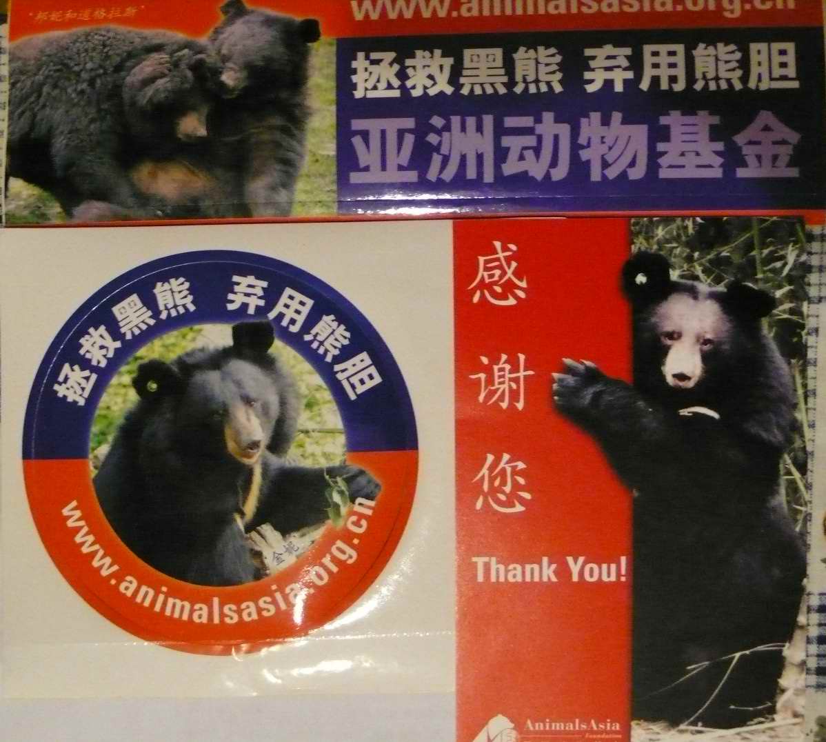 熊熊们的感谢.JPG